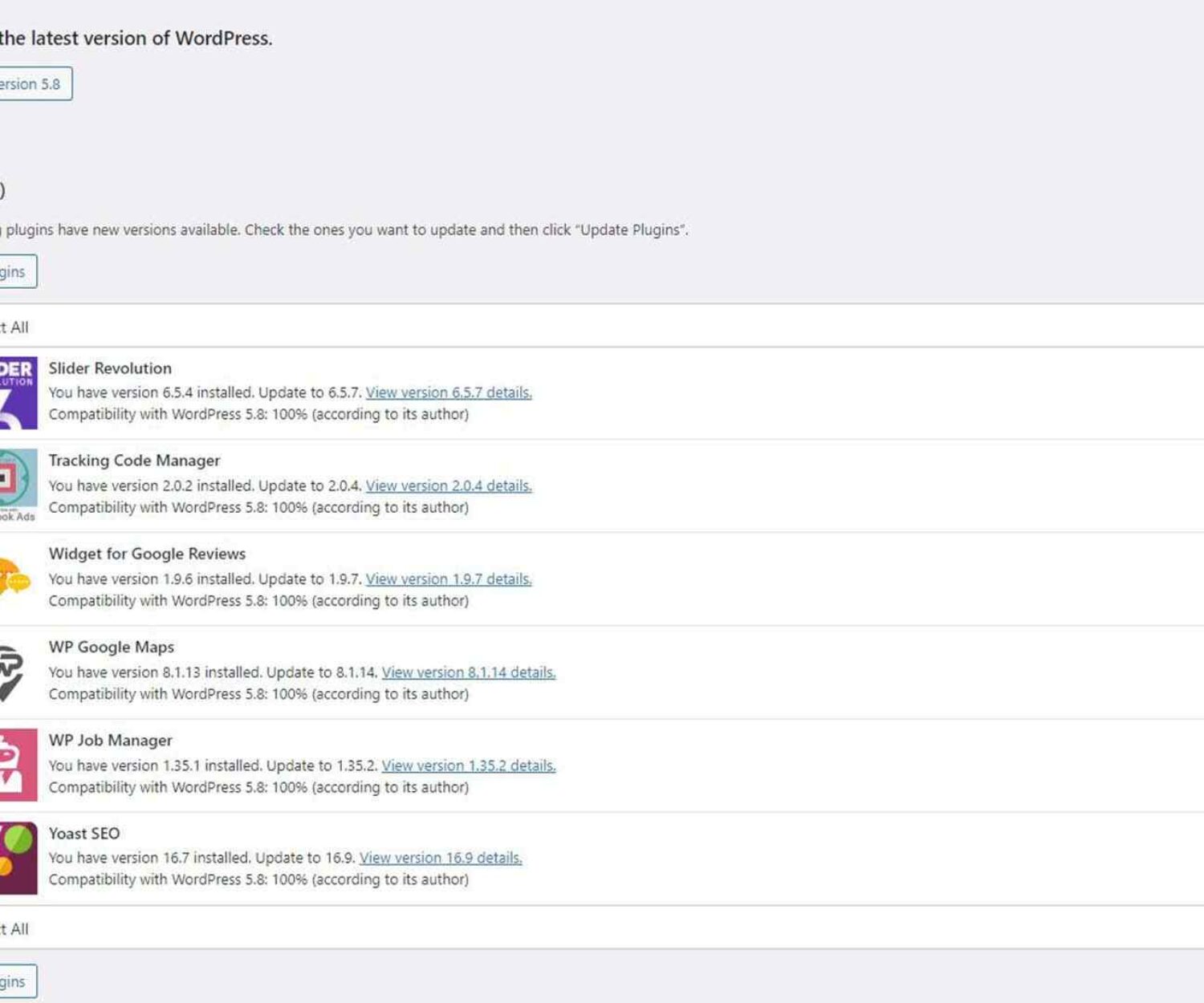 WordPress Maintenance and Repairs Updates